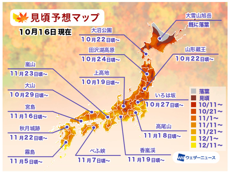 【2024賞楓】日本紅葉黃葉見頃予想整理