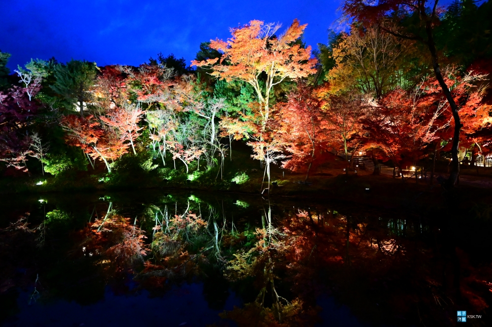 【京都夜楓景點推薦】高台寺