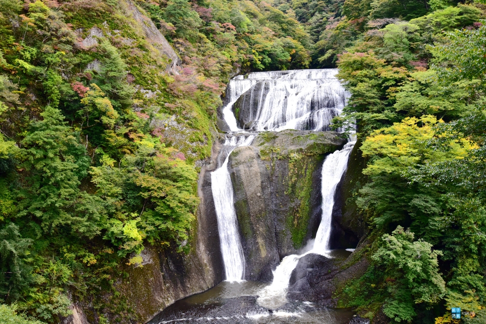 【茨城】袋田瀑布，日本三大名瀑、賞楓勝地