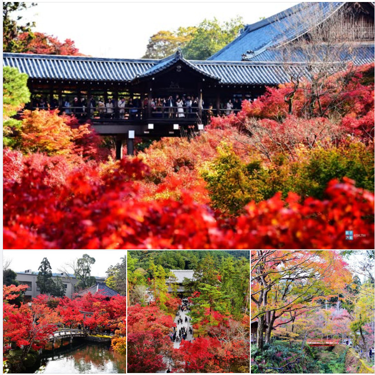 【京都】紅葉景點推薦懶人包、交通、見頃期分析