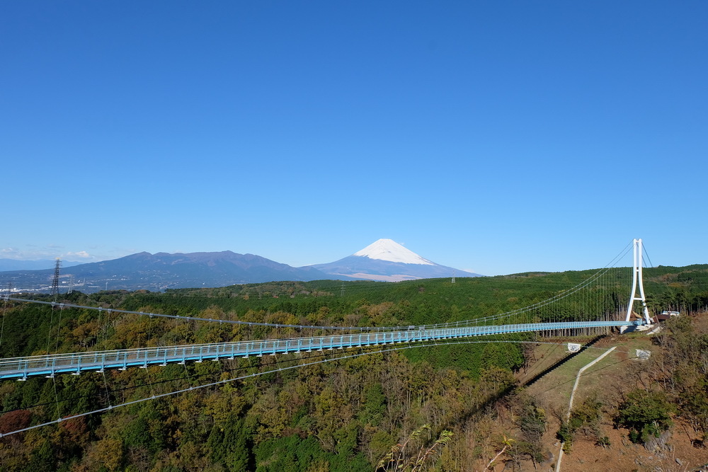 【靜岡縣】可以看到富士山的五個景點推薦：三島Sky Walk、駿河灣渡輪、富士山本宮淺間大社、靜岡縣富士山世界遺產中心、道之驛．富士川樂座