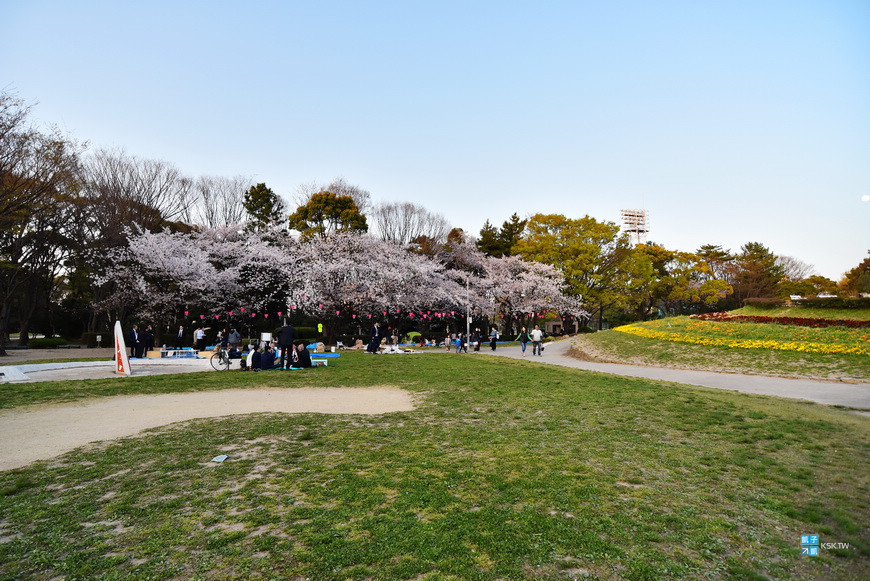 【名古屋。景點】名城公園-名古屋城旁邊可賞櫻的公園!