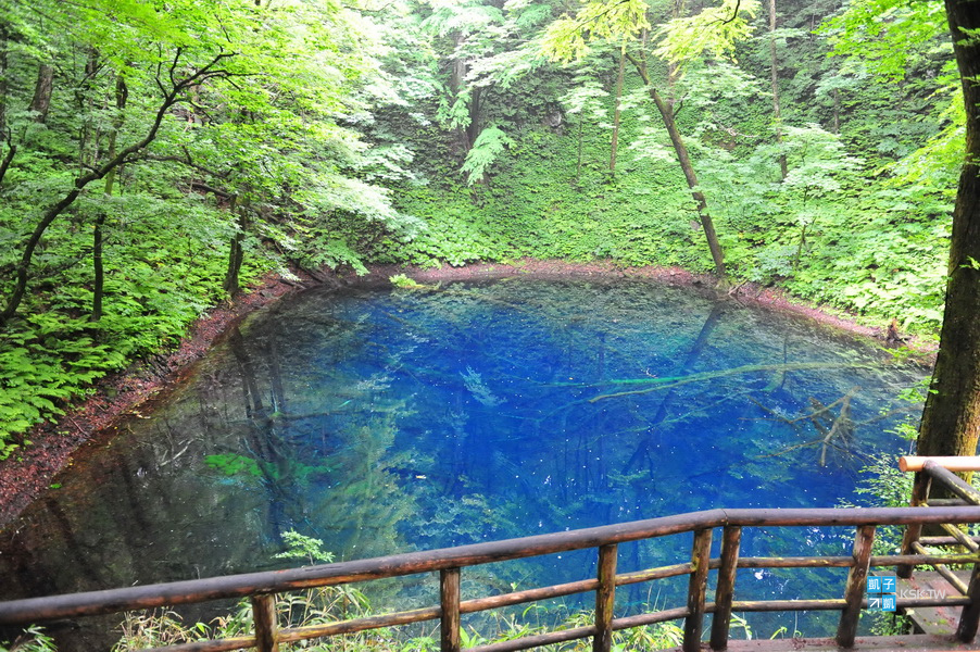 【日本東北。青森】《十二湖-青池》鑲在白神山地的藍寶石~絕美的人間仙境!五能線(秋田)著名景點、此生去日本必去的祕境景點!(散策攻略)