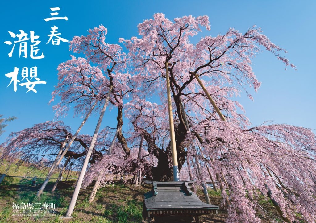 2019三春滝桜-1024x723.jpg