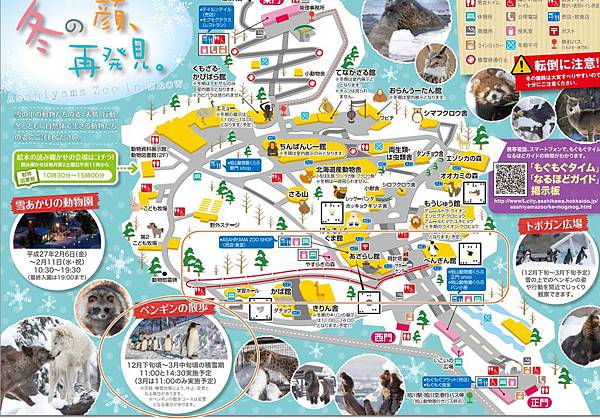 【北海道。遊記。冬季】旭川動物園~企鵝散步 (ペンギンの散歩)~最值得看、最吸引人的表演!